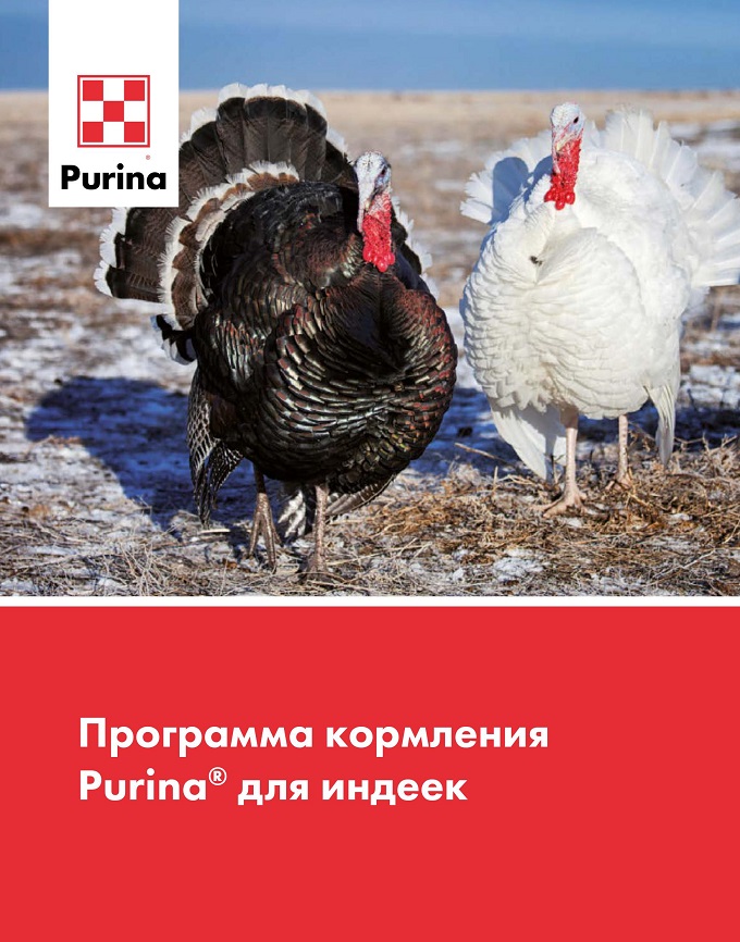 Программа кормления Purina<sup>®</sup> для индеек