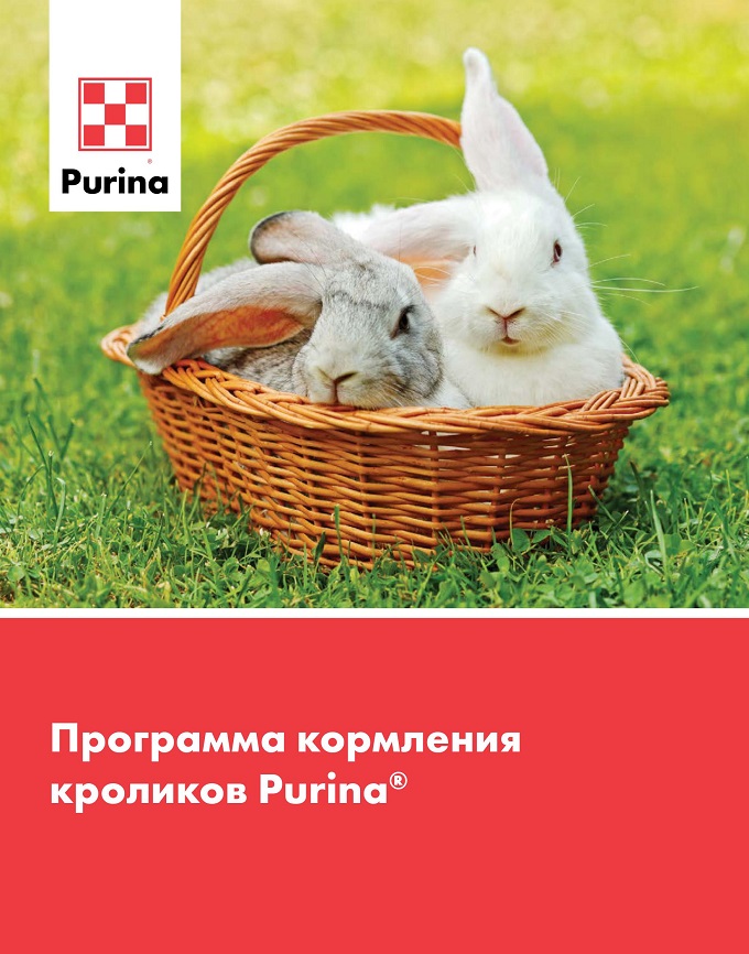 Программа кормления Purina<sup>®</sup> для кроликов