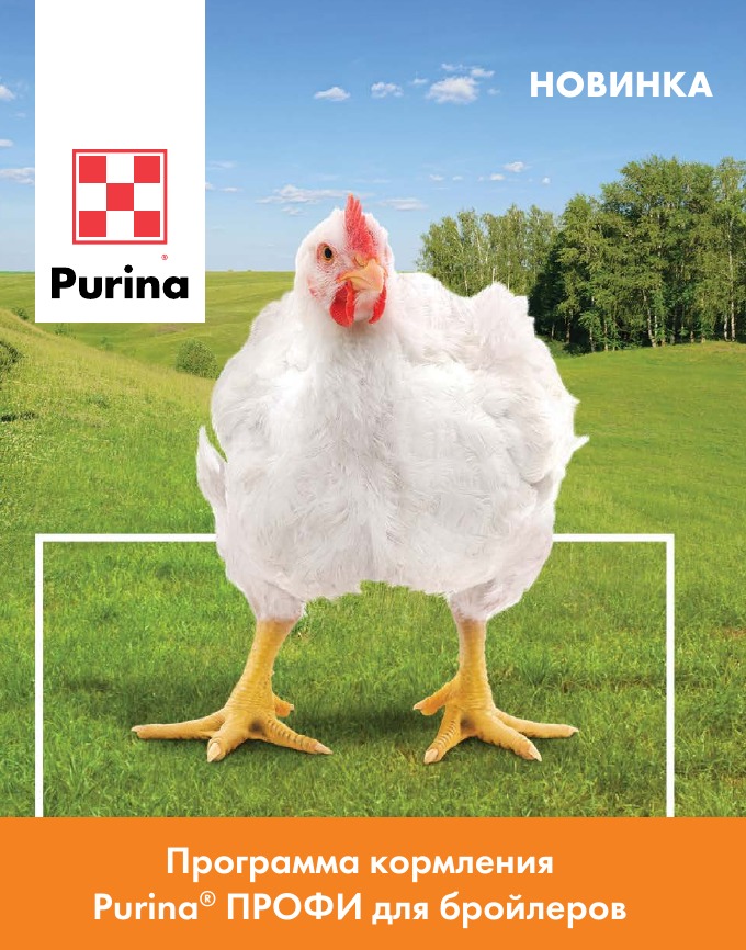 Программа кормления Purina<sup>®</sup> ПРОФИ для бройлеров