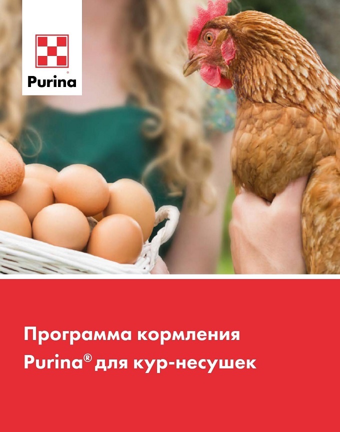 Программа кормления Purina<sup>®</sup> для кур-несушек