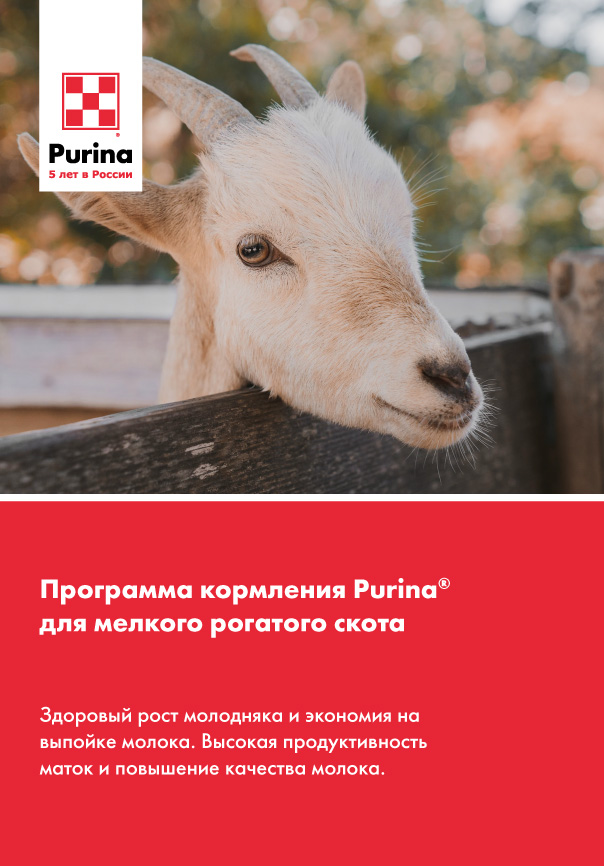 Программа кормления Purina<sup>®</sup> для мелкого рогатого скота