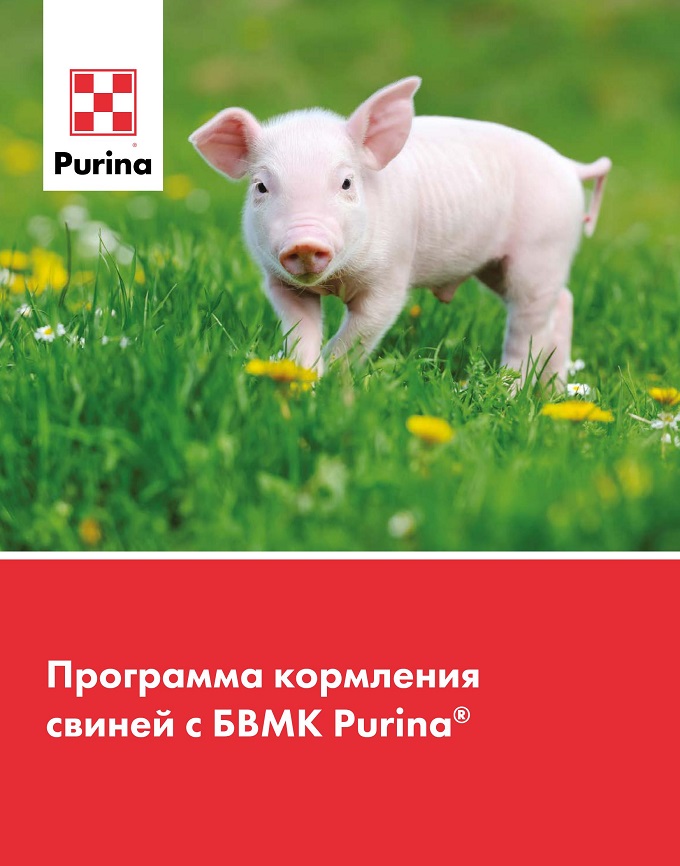 Программа кормления свиней с БВМК Purina<sup>®</sup>