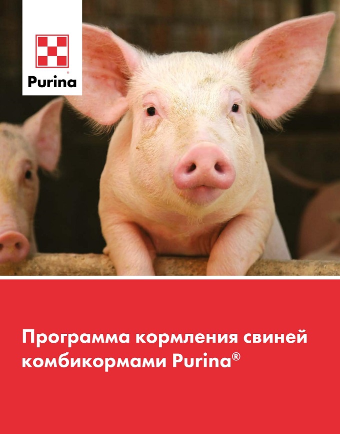 Программа кормления свиней комбикормами Purina<sup>®</sup>