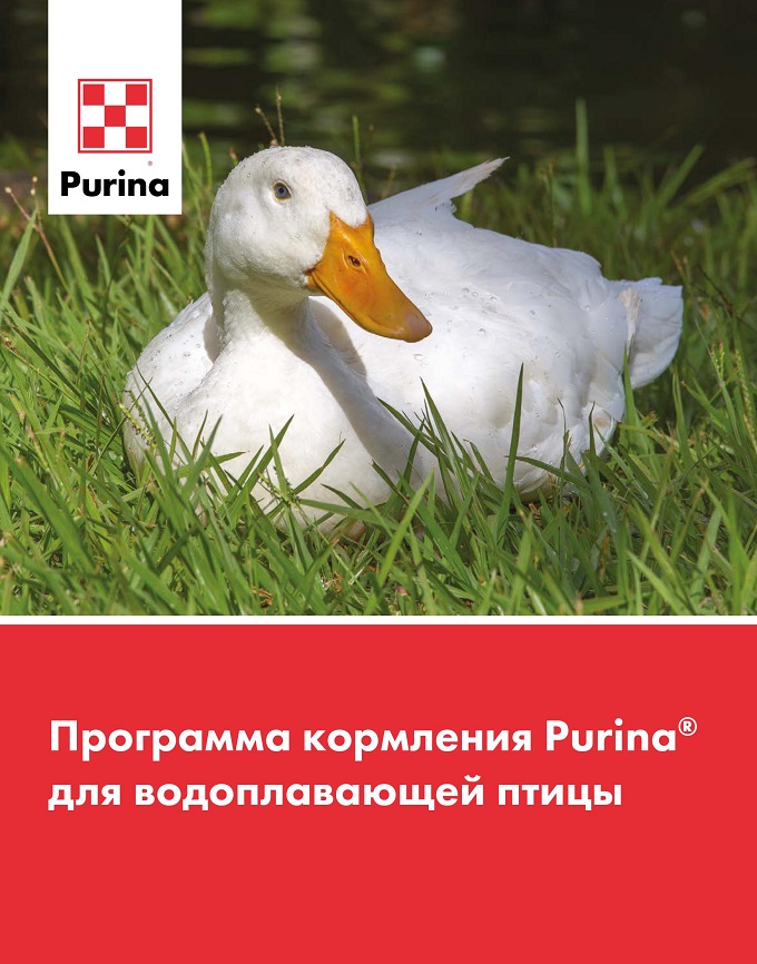 Программа кормления Purina<sup>®</sup> для водоплавающей птицы