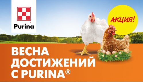 Новая акция «Весна достижений с Purina®»!