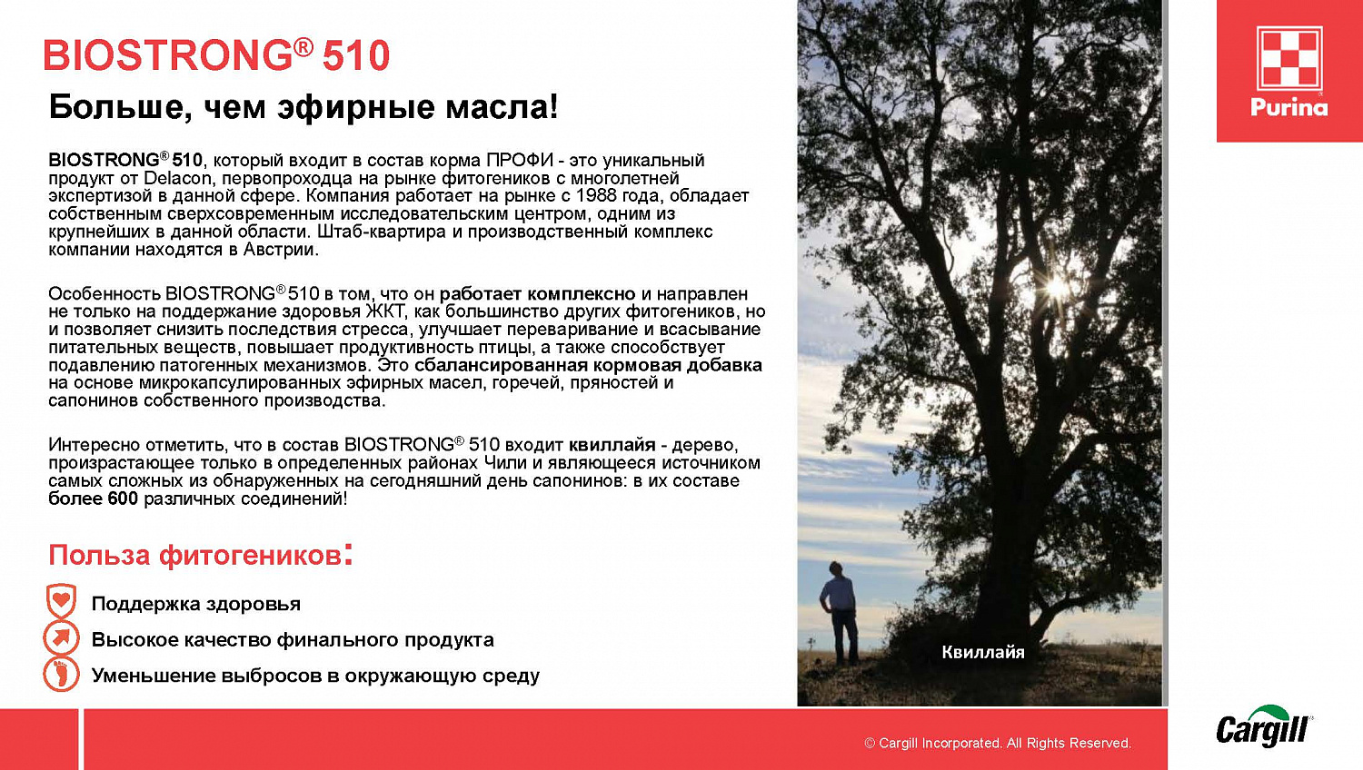 Комбикорм Purina® для бройлеров ПРО-старт ПРОФИ от 0 - 10 дней (протеин 23%), 25 кг